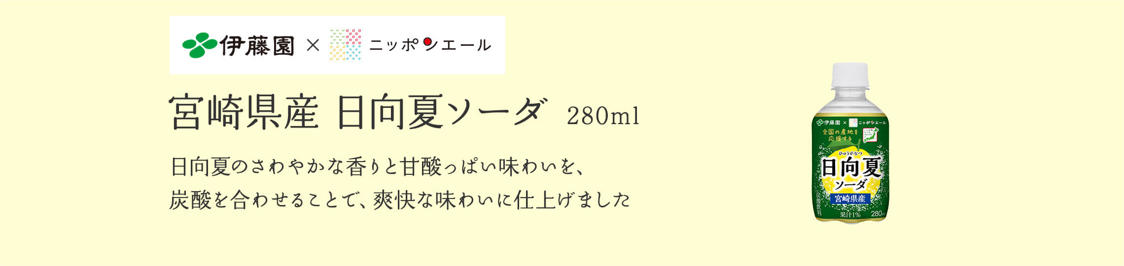 宮崎県産 日向夏