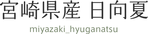 宮崎県産 日向夏