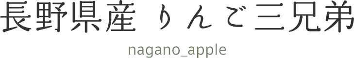長野県産 りんご三兄弟