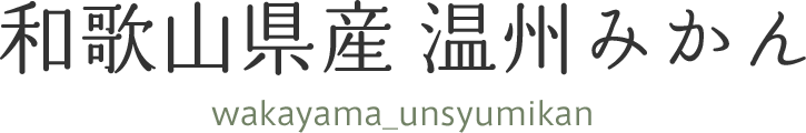 和歌山県産 温州みかん