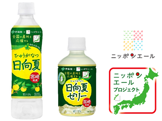 宮崎県産日向夏