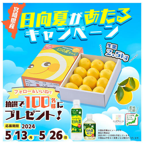 宮崎県産日向夏があたるキャンペーン