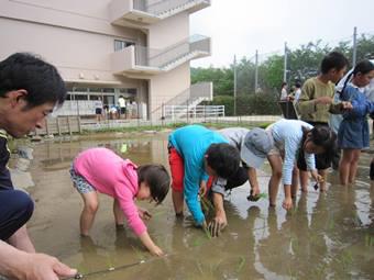 線に沿って等間隔に！の内容を表示