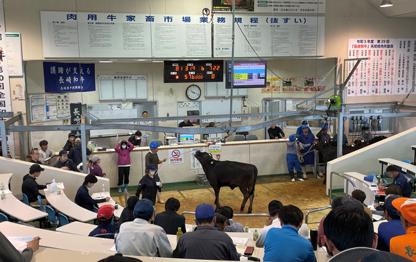 5月期子牛せり市の内容を表示