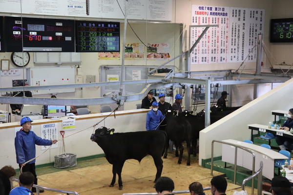 ３月期子牛せり市の内容を表示