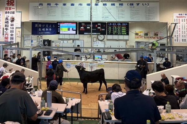 ９月期子牛せり市の内容を表示