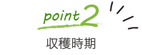 point2:収穫時期