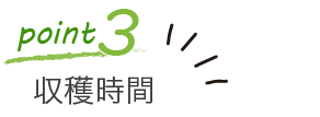 point3:収穫時間