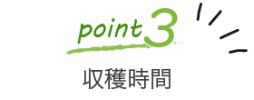 point3:収穫時間