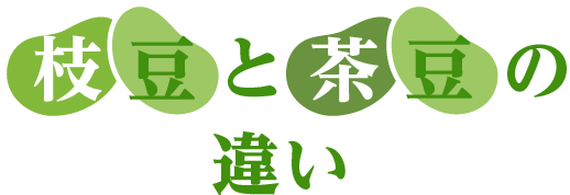 枝豆と茶豆の違い 枝豆のゆで方