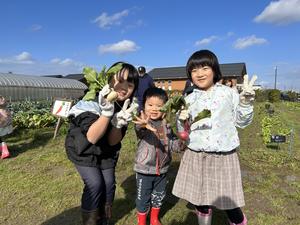 家族みんなで収獲体験の内容を表示