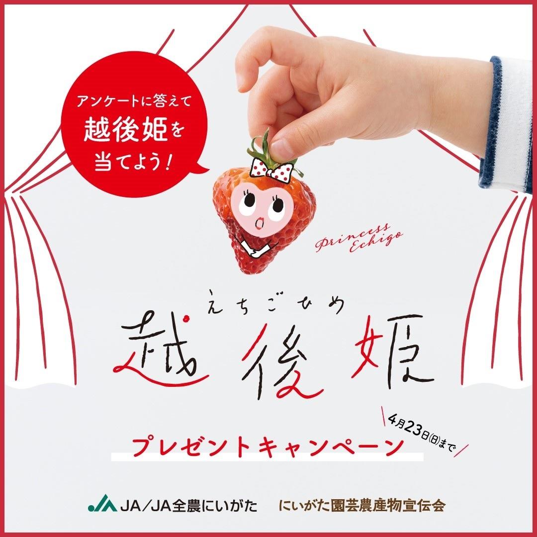 確認用です❤︎ 高