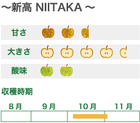 ～新高 NIITAKA～