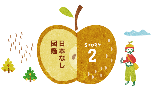 STORY2：日本なし図鑑