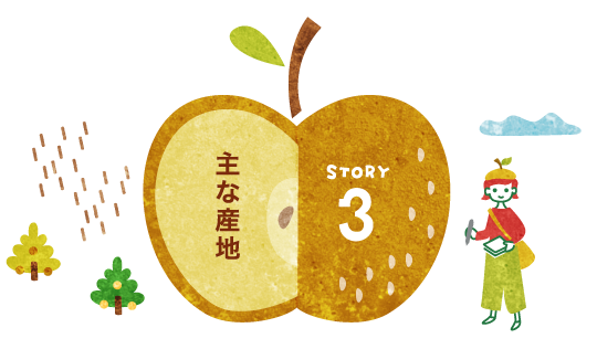 STORY3：主な産地