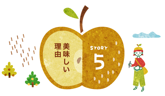 STORY5：美味しい理由