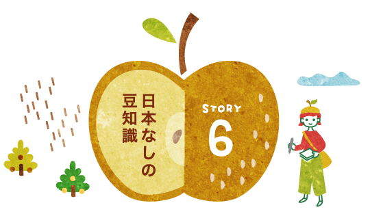 STORY6：日本なしの豆知識