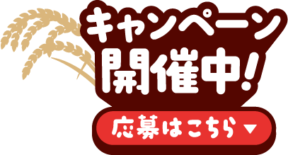 キャンペーン開催中！応募はこちら