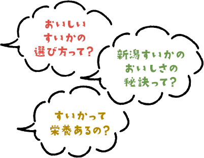 おいしいすいかの選び方って？新潟すいかのおいしさの秘訣って？すいかって栄養あるの？