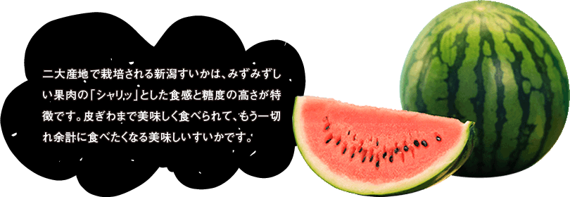 二大産地で栽培される新潟すいかは、みずみずしい果肉の「シャリッ」とした食感と糖度の高さが特徴です。皮ぎわまで美味しく食べられて、もう一切れ余計に食べたくなる美味しいすいかです。