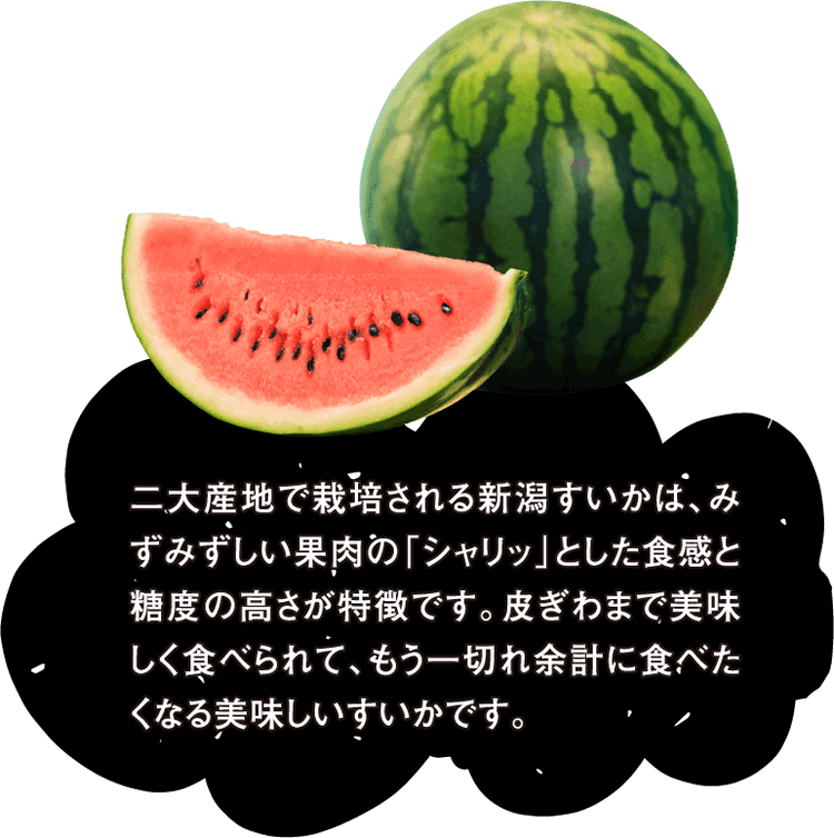 二大産地で栽培される新潟すいかは、みずみずしい果肉の「シャリッ」とした食感と糖度の高さが特徴です。皮ぎわまで美味しく食べられて、もう一切れ余計に食べたくなる美味しいすいかです。