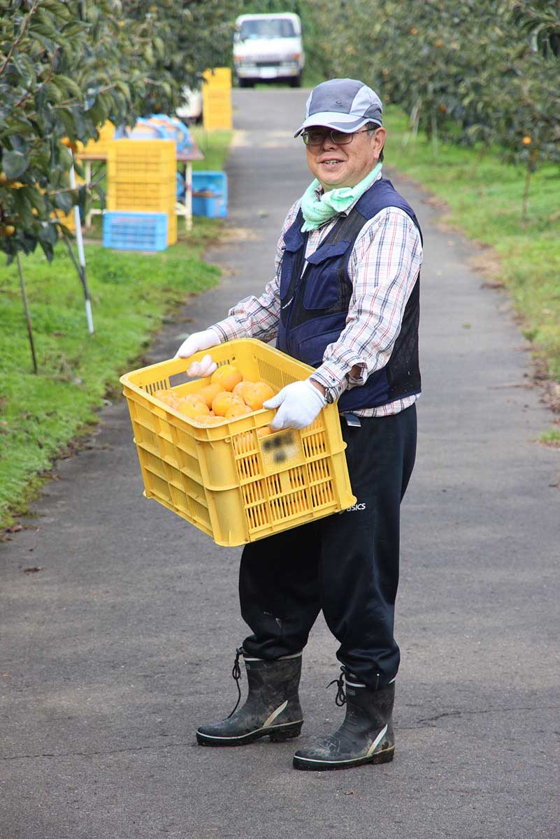 おけさ柿生産者 本間恒彦さん