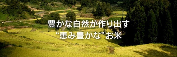 豊かな自然が作り出す恵豊かなお米