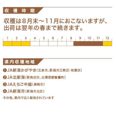 さといも | JA全農にいがた