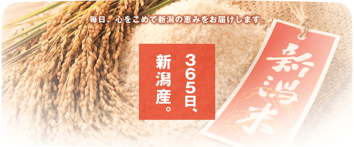 365日、新潟産