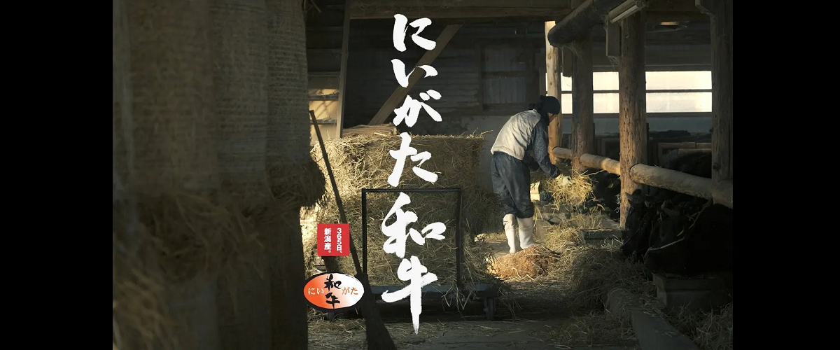 にいがた和牛