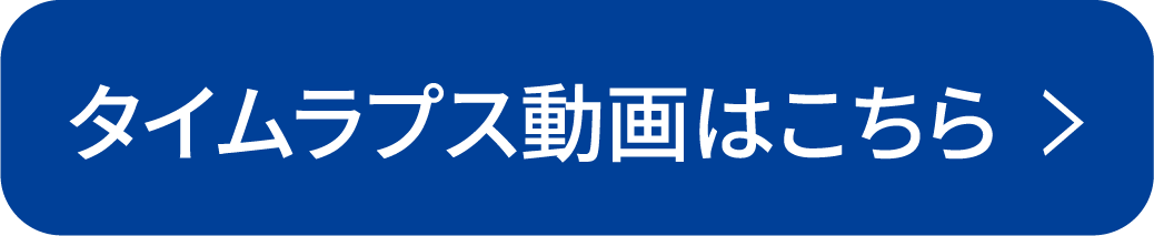 タイムラプス動画はこちら