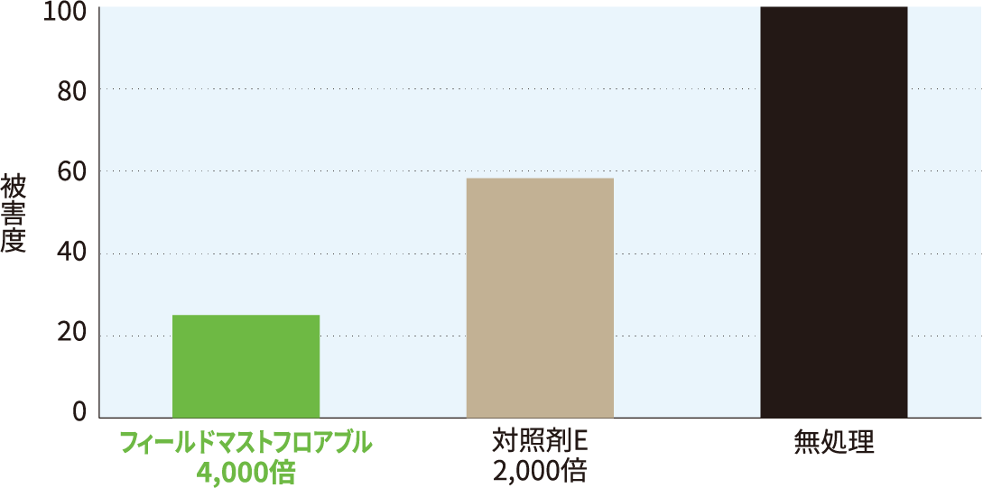 かぶの根部食害面積グラフ