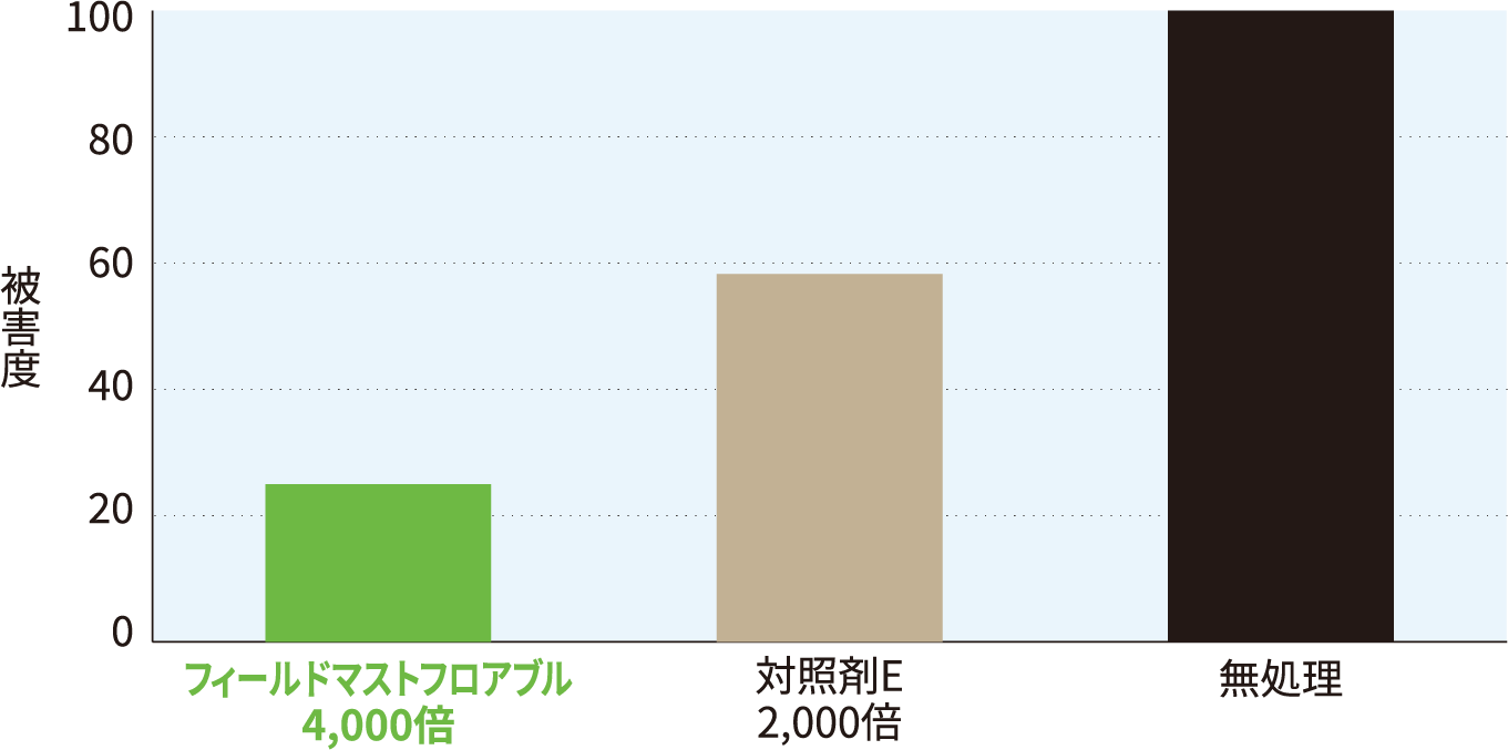 かぶの根部食害面積グラフ