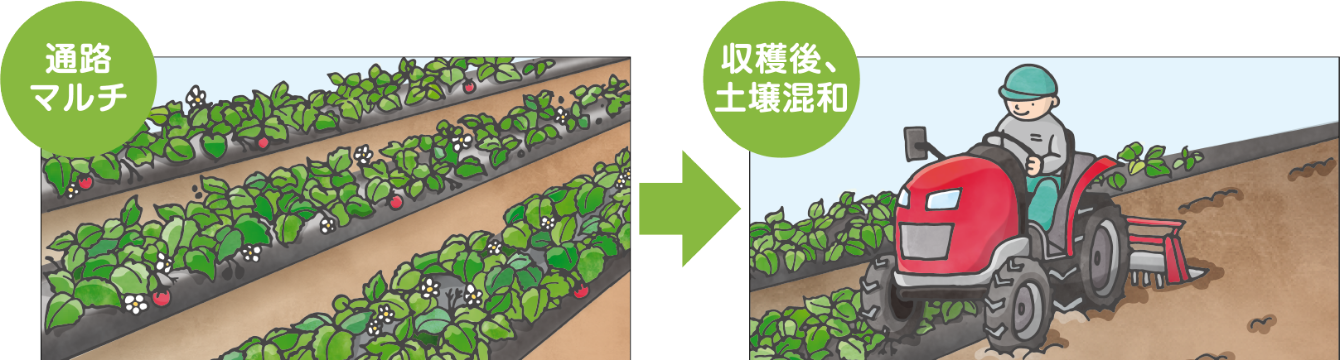case-point3