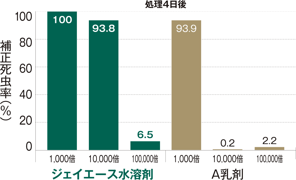 試験結果