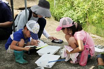 捕まえた虫を図鑑でチェック！の内容を表示