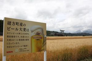 緒方町のビール麦畑にはキリンビール（株）の看板が設置されています。の内容を表示