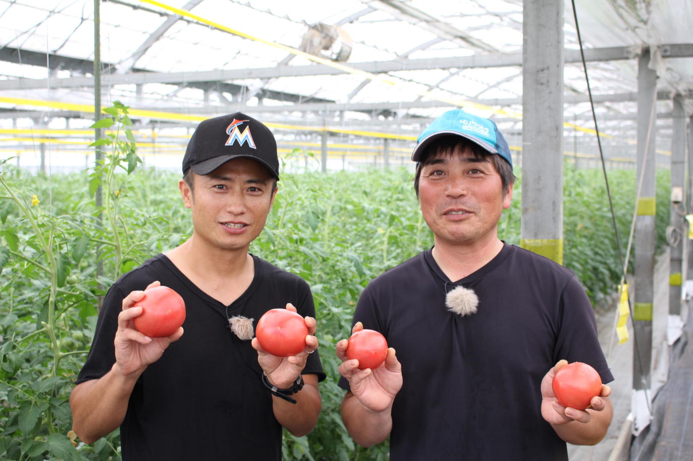 「赤採りトマト」をＰＲする田平さん（㊨）と八木さん（㊧）の内容を表示
