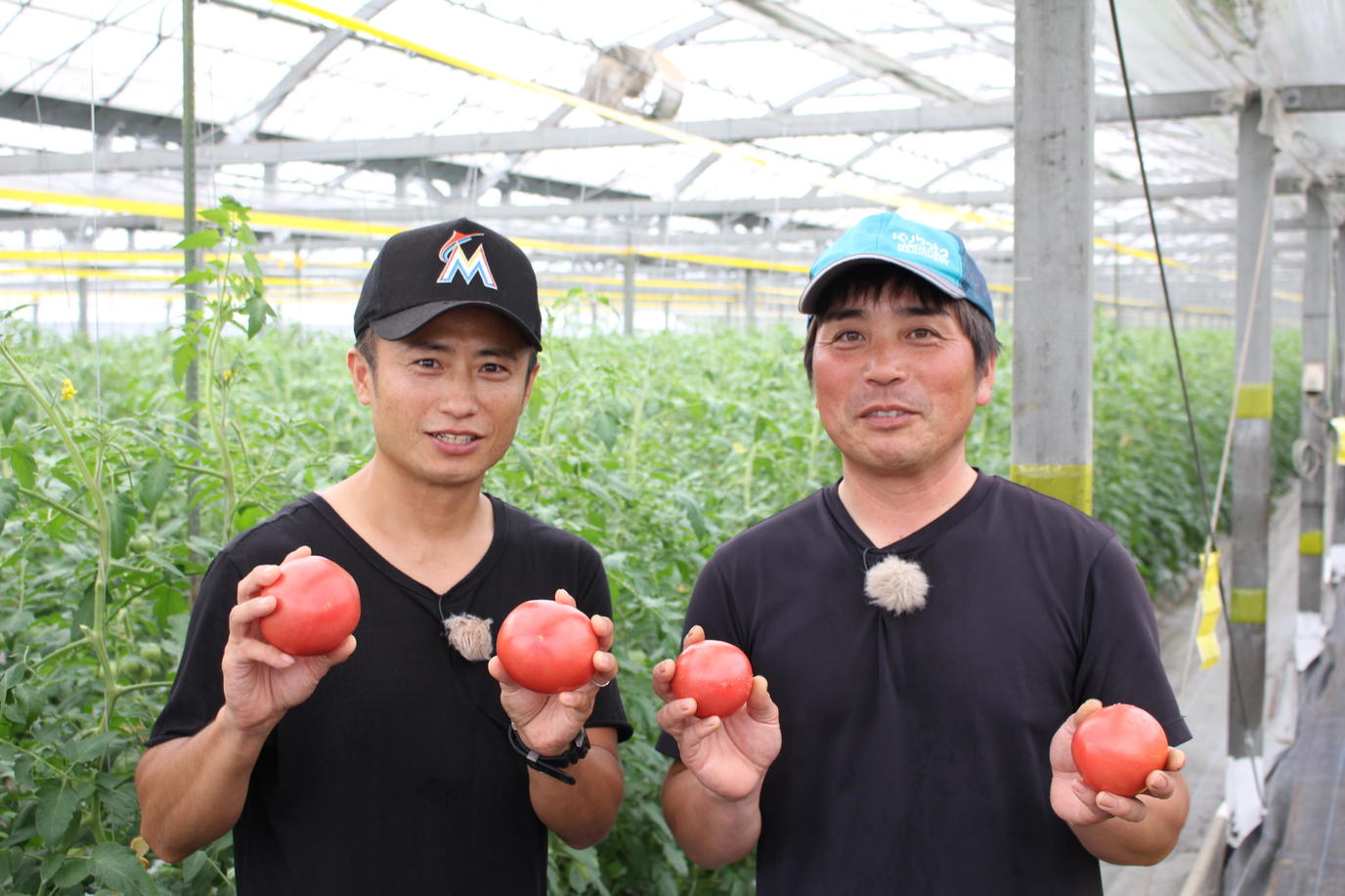 「赤採りトマト」をPRする田平さん(㊨)と八木さん(㊧)の内容を表示