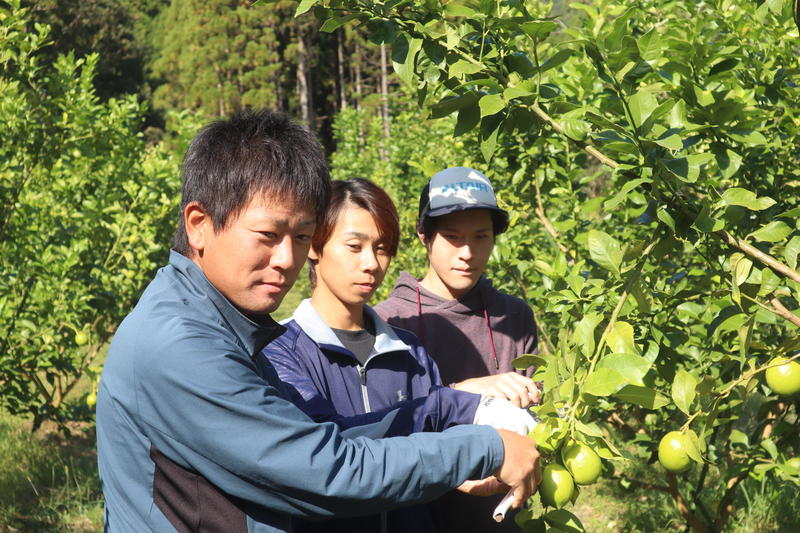 ◆手前から大分佐伯ファーム（株）伊東直人農場長、山下凌河さん、飛河陸さんの内容を表示