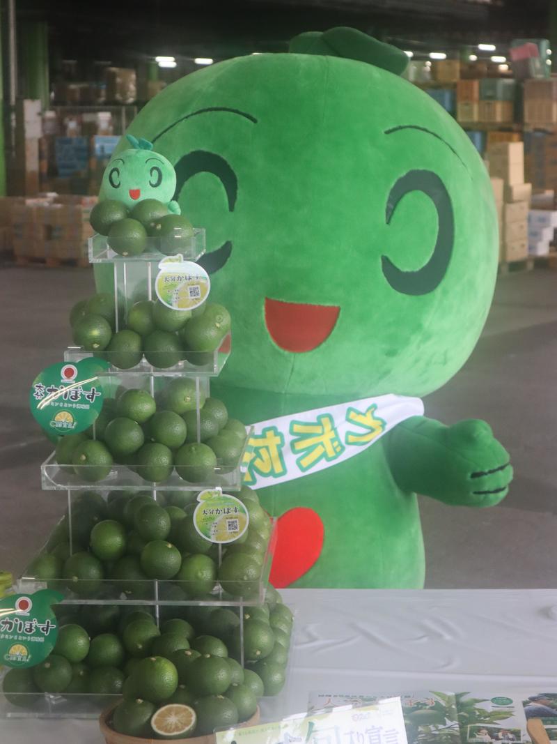 ◆かぼすタワーとかぼたんの内容を表示