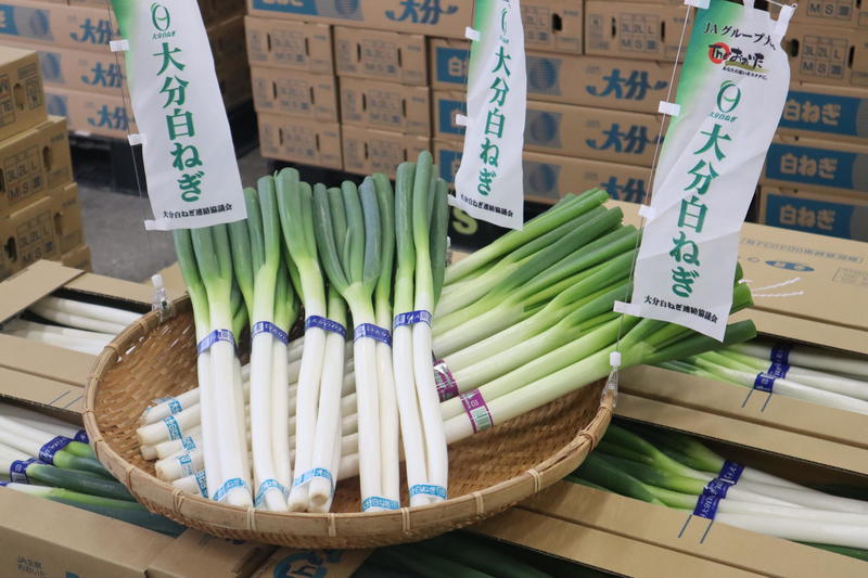 ◆旬を迎えた大分白ねぎの内容を表示