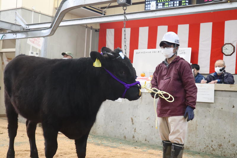 ◆初セリにかけられる牛の内容を表示