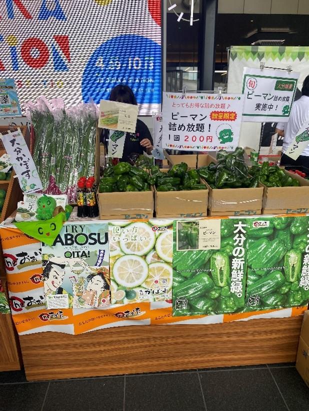 ◆ピーマンの詰め放題の内容を表示