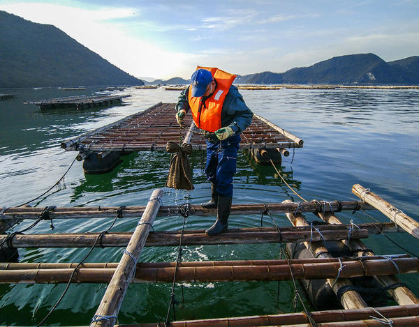 日生海中熟成酒「里海の環」を水揚げする職員の内容を表示