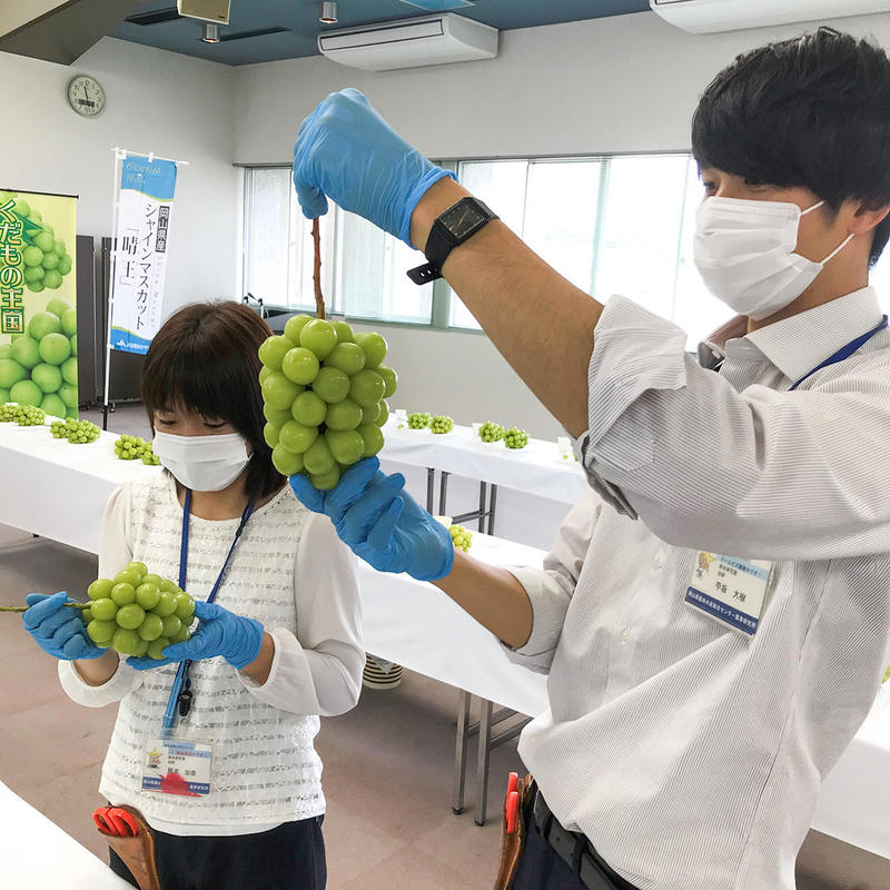 審査風景の内容を表示