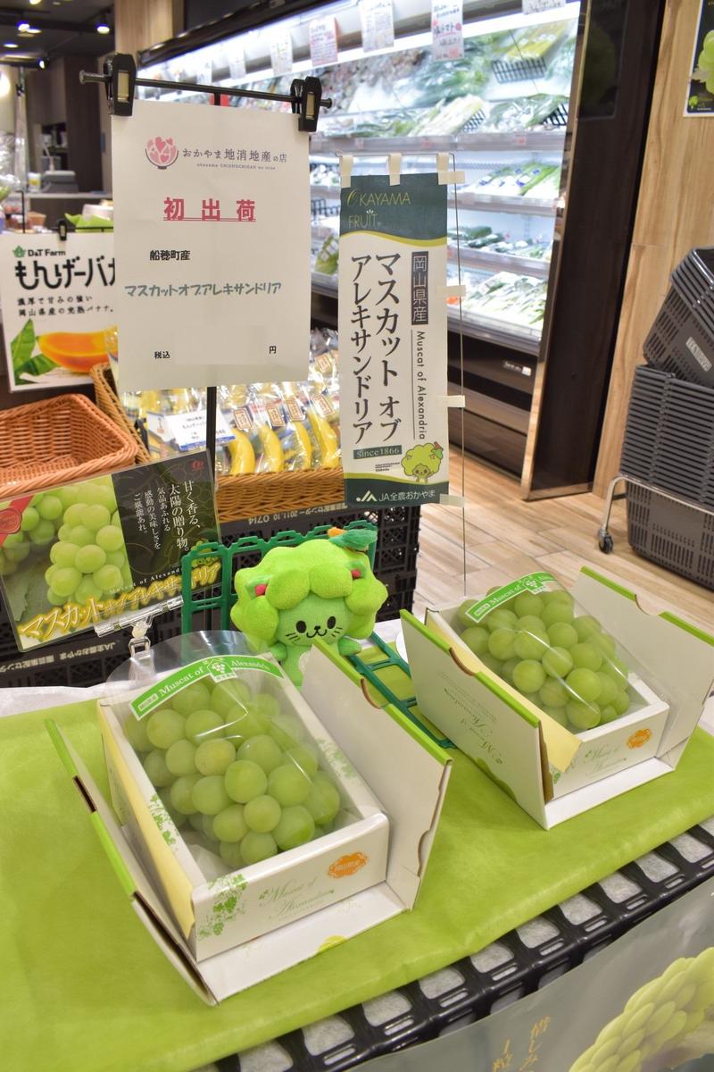 おかやま地消地産の店での初売り風景の内容を表示