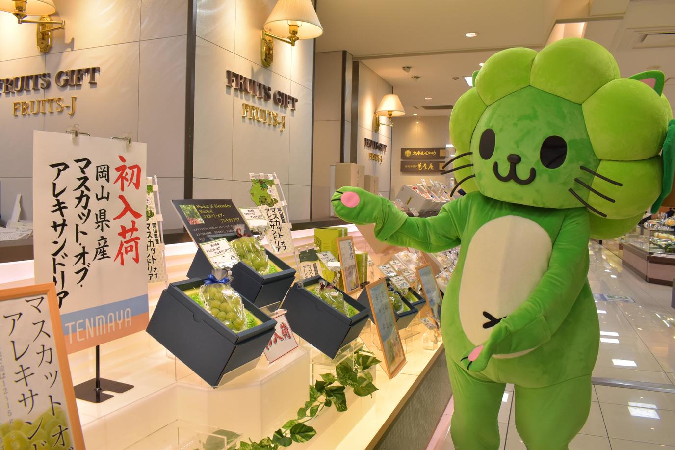 マスキャットが天満屋岡山店へ登場!初売りのお手伝い♪の内容を表示