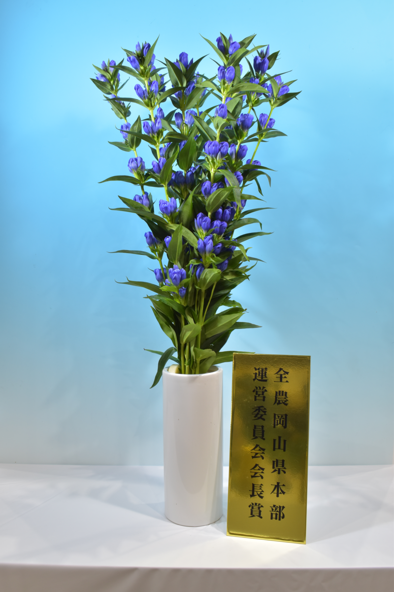 優秀賞 全国農業協同組合連合会岡山県本部運営委員会会長賞 綱嶋繁海(吉備中央町)りんどう「おかやま夢りんどう早生2号」の内容を表示