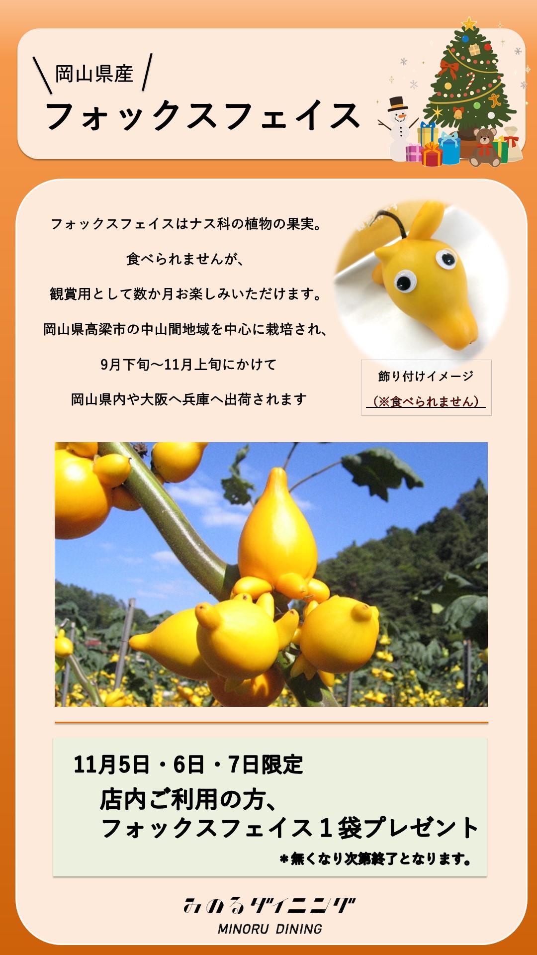 鮮やかな黄色の実が特徴!フォックスフェイスのご紹介! | ニュース